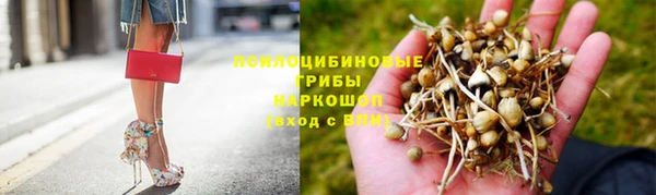 дмт Армянск