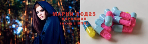 молекула духа Аркадак