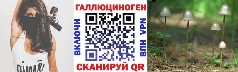 Галлюциногенные грибы Psilocybe  наркошоп  OMG tor  Вихоревка 